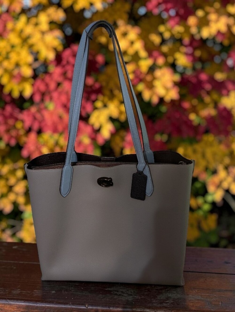 Coach Willow Gray Tote Bag with Blue Straps - Women's Shoulder Bag